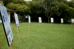 The Easels